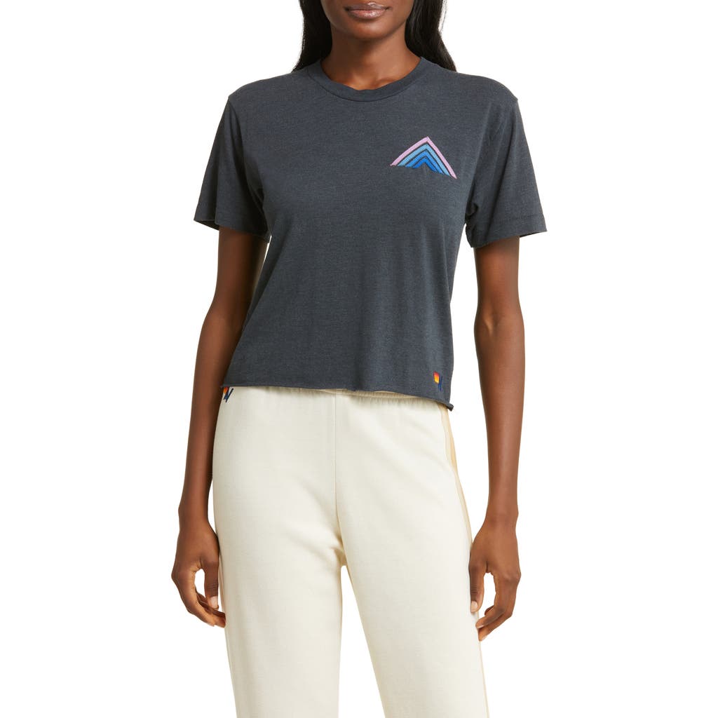 Aviator Nation Mountain Stitch Stripe Graphic T-shirt In Charcoal/blue Purple