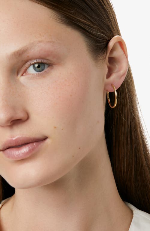 Ana Luisa Medium Slim Endless Hoops In Gold