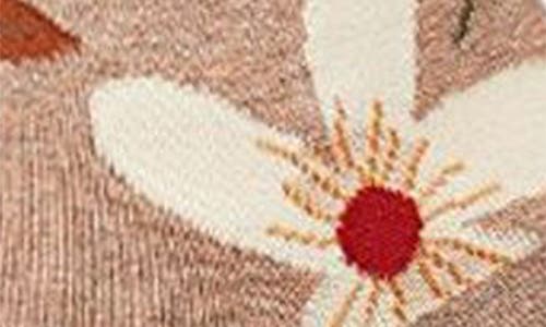 Memoi Assorted 3-pack Crew Socks In Brown Heather