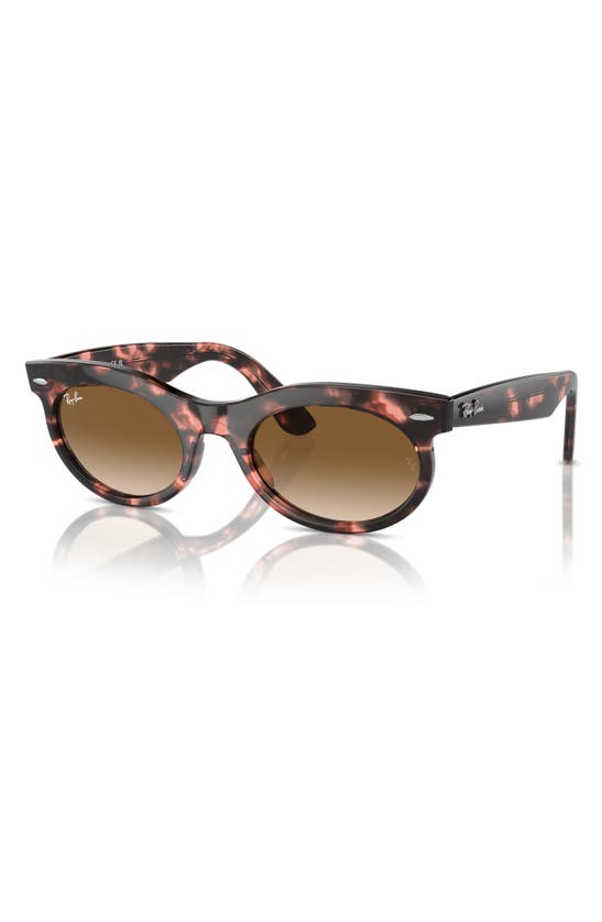 Ray Ban Wayfarer Oval Sunglasses Pink Havana Frame Brown Lenses 53-22 In Havana Pink