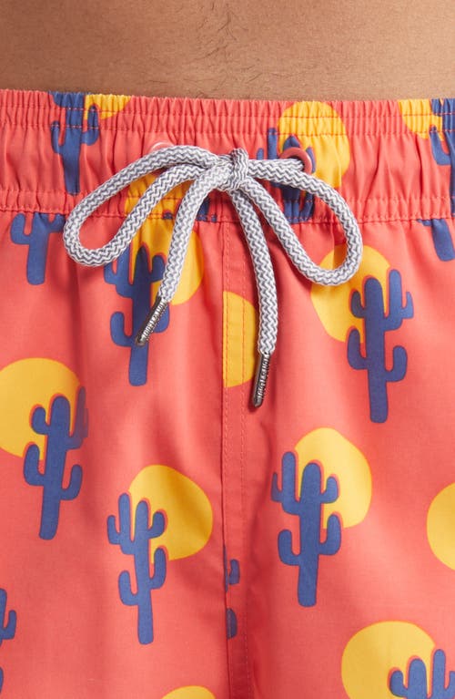 Tom & Teddy Cactus Print Performance Swim Trunks In Deep Rose