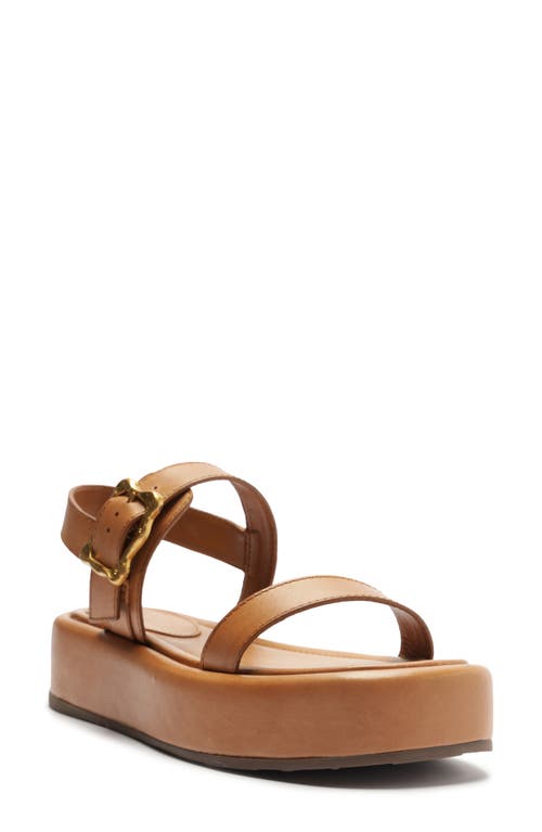 Schutz Wavy Ankle Strap Platform Sandal Miele at Nordstrom,