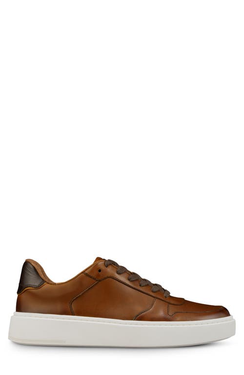 Allen Edmonds Men's Owen Leather Low-top Sneakers In Chili