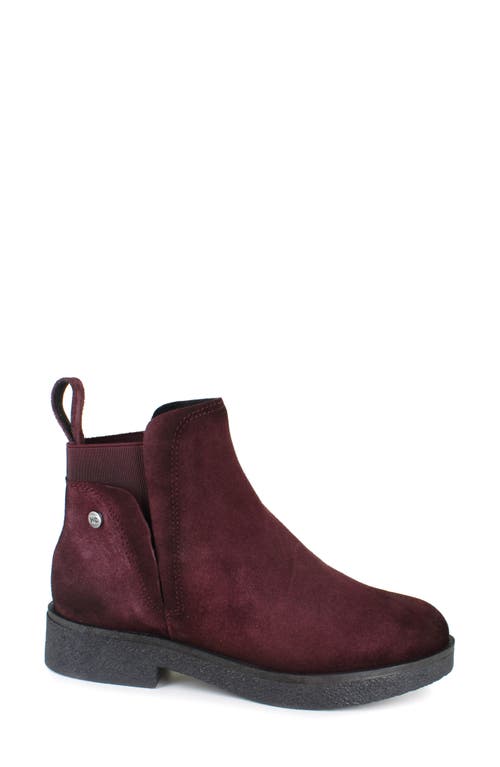 National Comfort Evita Bootie In Burgundy Suede
