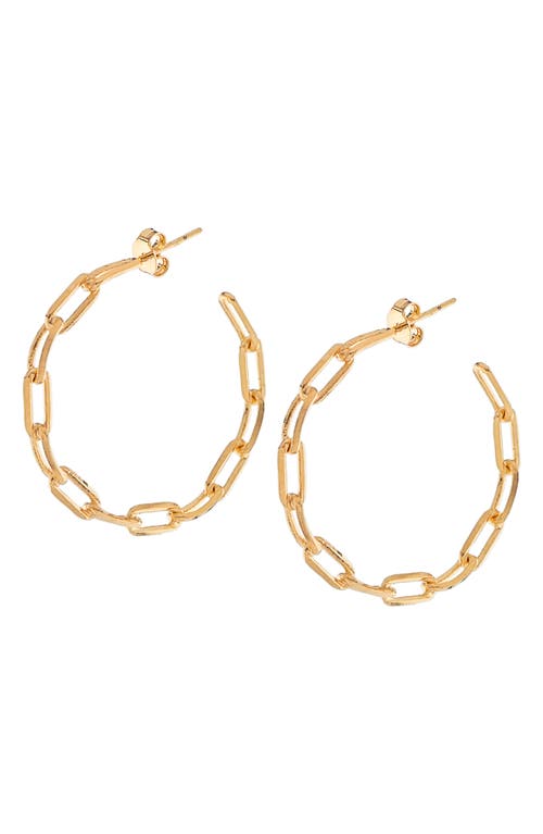 Sherry Link Hoop Earrings in Gold