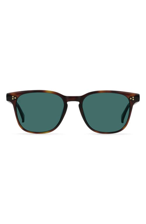 Raen Alvez 50mm Polarized Square Sunglasses In Kola Tort/pacifica