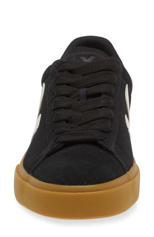 Shop Veja Campo Sneaker In Black Pierre