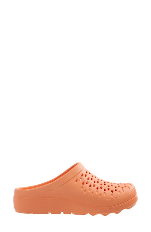 Revitalign Fusion Vitality Clog In Apricot Illusion