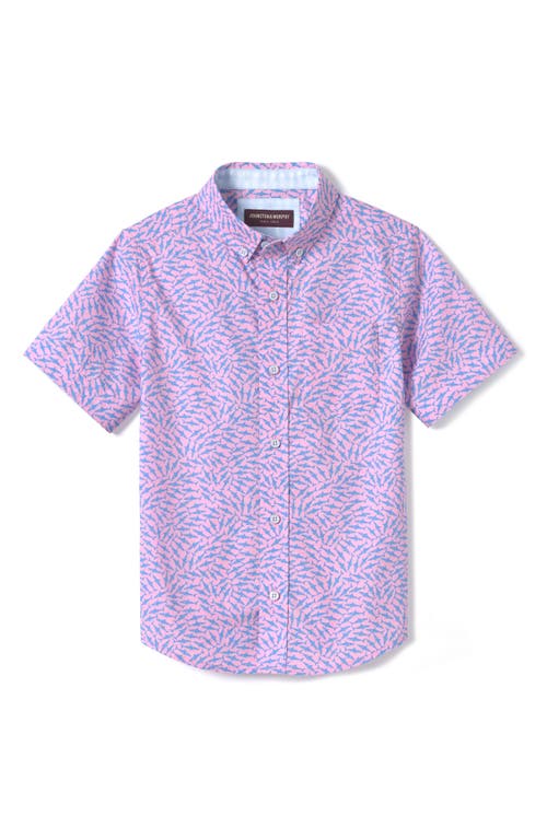 Johnston & Murphy Kids' Swarming Shark Print Short Sleeve Cotton Button-Down Shirt Pink at