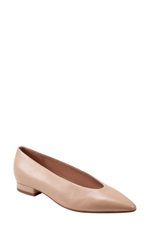 Gunner Pointed Toe Flat in Light Natural