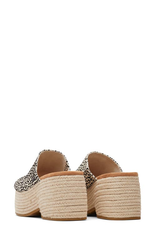 Toms Lailam Espadrille Platform Slide Sandal In Natural