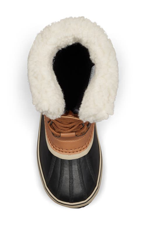Sorel Winter Carnival Lace-up Shearling-cuff Boots In Camel Brown