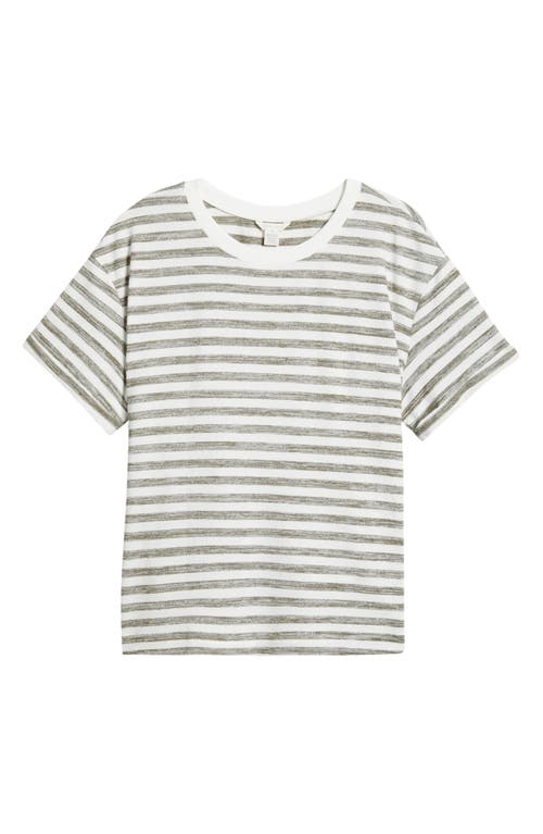 Shop Caslonr Caslon(r) Ease Stripe Crewneck T-shirt In Olive Burnt-white Charm Stripe