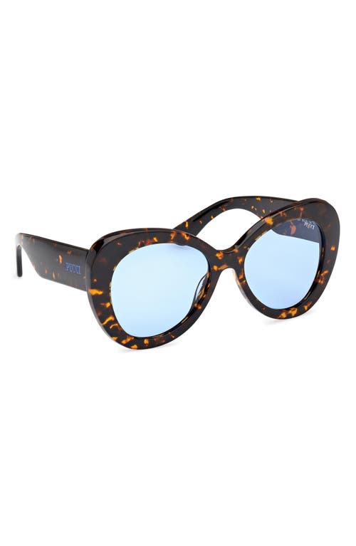 Pucci Emilio 56mm Round Sunglasses In Dark Havana/bright Blue