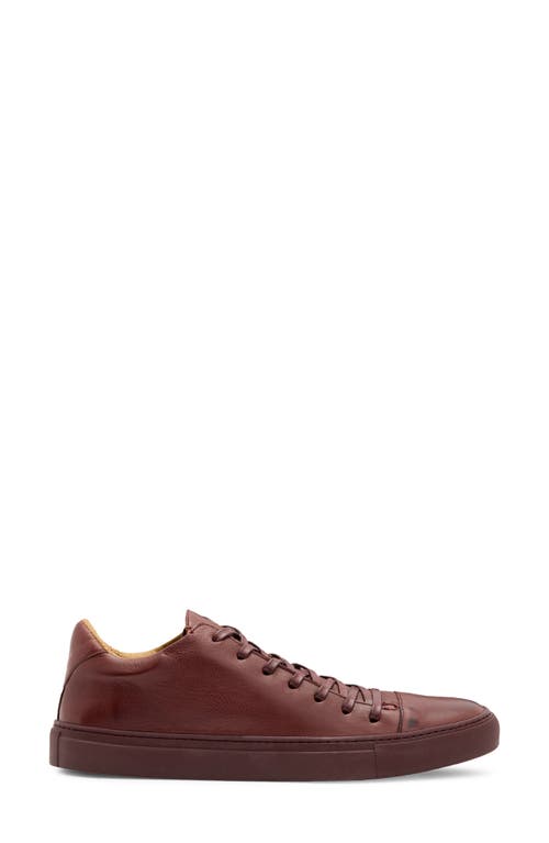 John Varvatos Reed Low Top Sneaker In Port