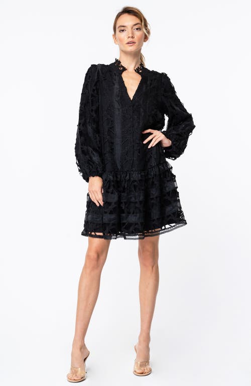 Shop Ciebon Yvia Dragonfly Lace & Organza Drop Waist Dress In Black