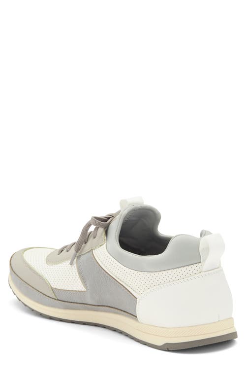 Shop Steve Madden Mylar Sneaker In Grey/white