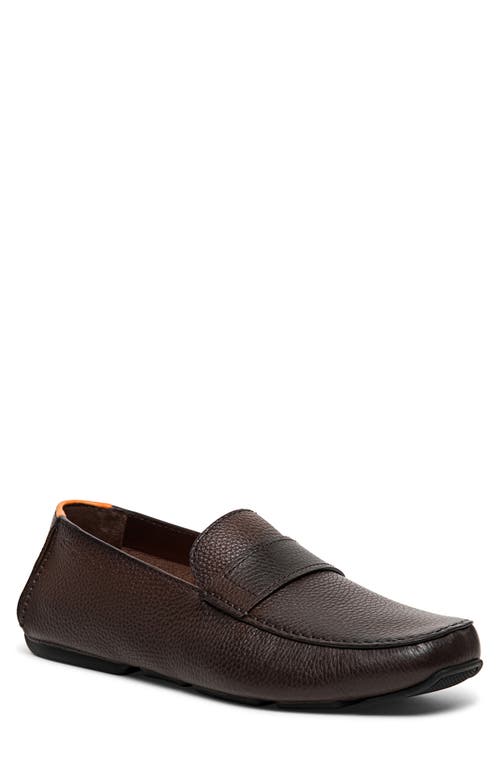 Santoni Kacy Loafer in Dark Brown-T55 at Nordstrom, Size 8.5