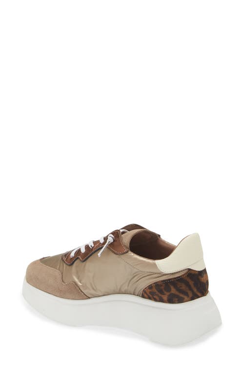 Wonders Roma Taupe Mixed Textile Chunky Trainers In Taupe/gold/leo Combo