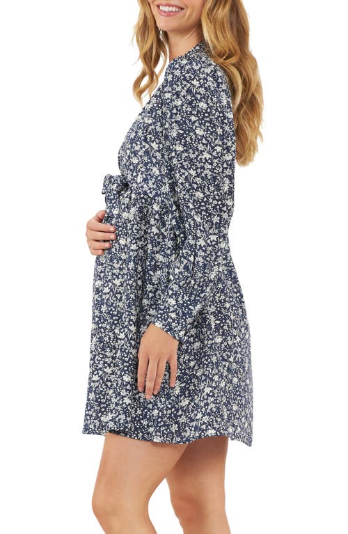 Shop Ripe Maternity Thea Long Sleeve Tie Waist Maternity/nursing Dress In Navy/white