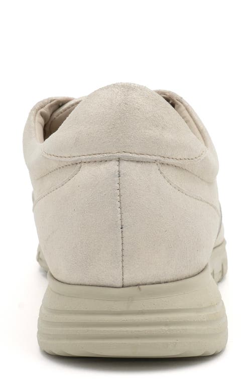Amalfi By Rangoni Joseph Slip-on Sneaker In Crema/van Agean
