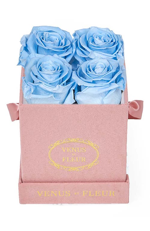 Venus ET Fleur Classic Le Petit Eternity Roses in Baby Blue at Nordstrom