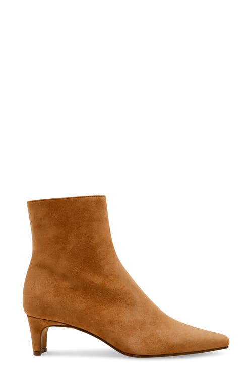 Shop Steve Madden Delvie Bootie In Chestnut Suede