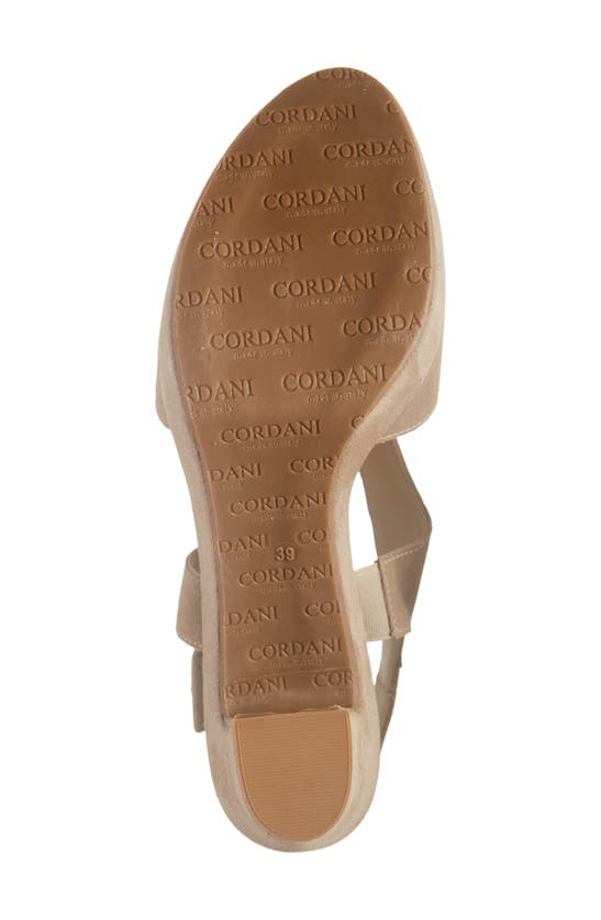 Shop Cordani Taylin Platform Sandal In Tortora Suede