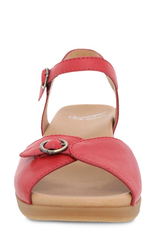 Shop Dansko Tessie Ankle Strap Sandal In Poppy