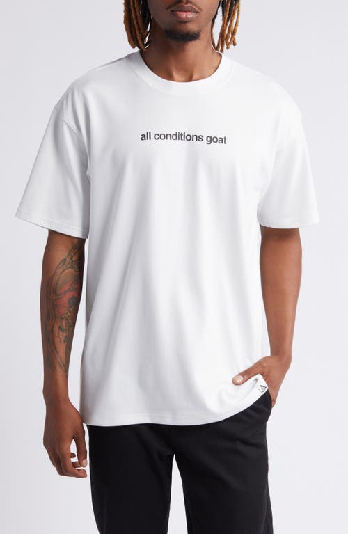 Nike Dri-FIT ACG Mountain Goat Graphic T-Shirt at Nordstrom,