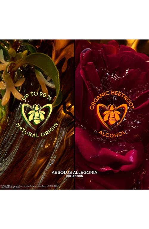 Guerlain Absolus Allegoria Rose Amira Eau De Parfum In No Color
