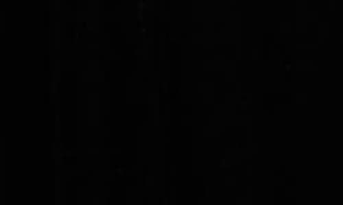 MERUERT TOLEGEN MERUERT TOLEGEN PIERROT LACE TRIM LONG SLEEVE VELVET DRESS