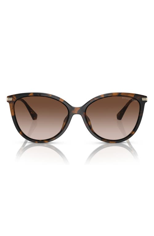 Michael Kors 56mm Gradient Cat Eye Sunglasses in Dark Tortoise 