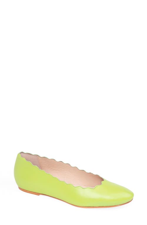 Palm Beach Scalloped Ballet Flat in Lime