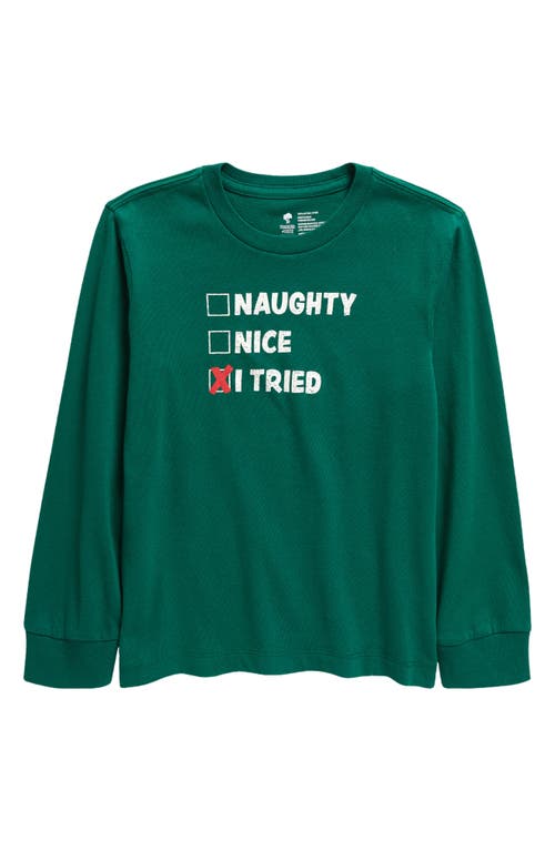 Tucker + Tate Kids' I Tried Long Sleeve Graphic T-Shirt in Green Evergreen I Tried