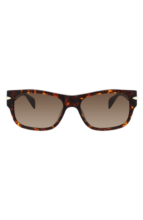 Shop Rag & Bone 55mm Rectangular Sunglasses In Havana Gold/brown Sf