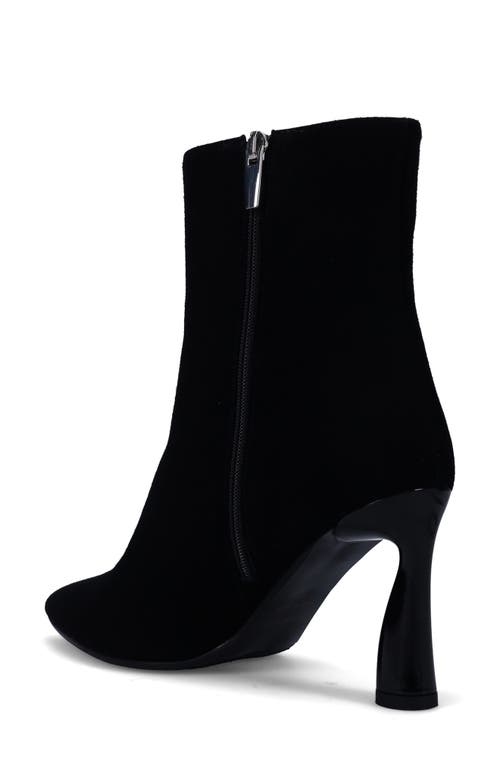 Shop Ron White Danita Pointed Toe Bootie In Onyx Suede