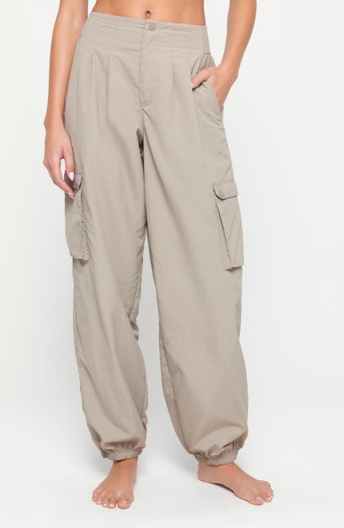 Shop Spiritual Gangster Talyor Nylon Cargo Jogger Pants In Taupe