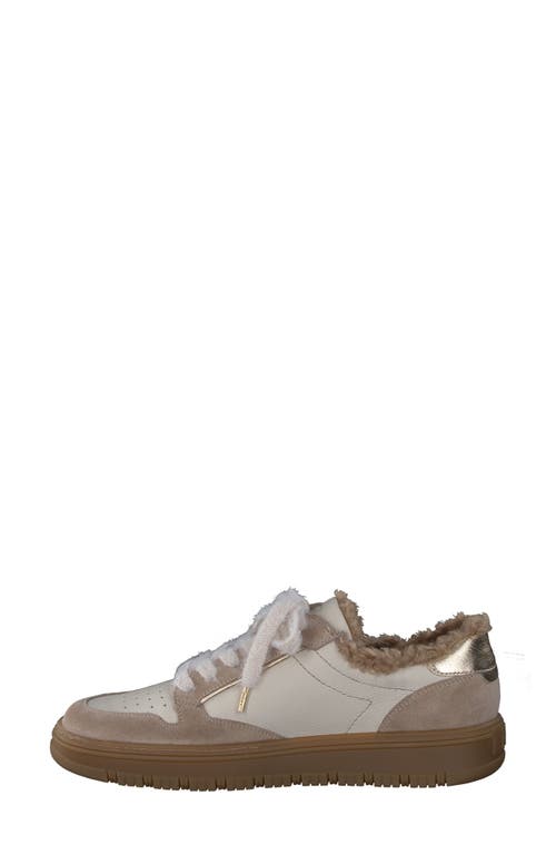 Paul Green Weller Sneaker In Almond Biscuit Combo