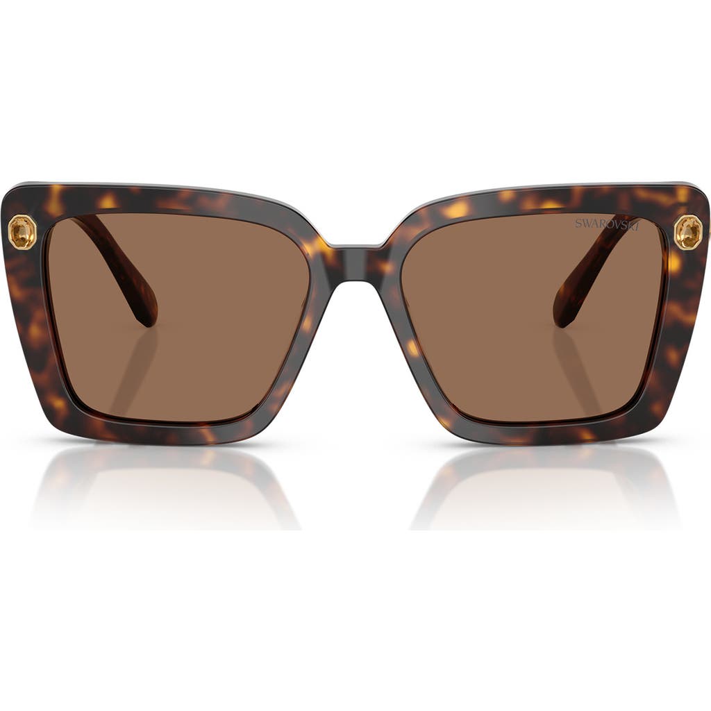 Swarovski 55mm Square Sunglasses In Havana