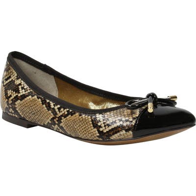 J. Renee Charmyne Skimmer Flat B - Brown