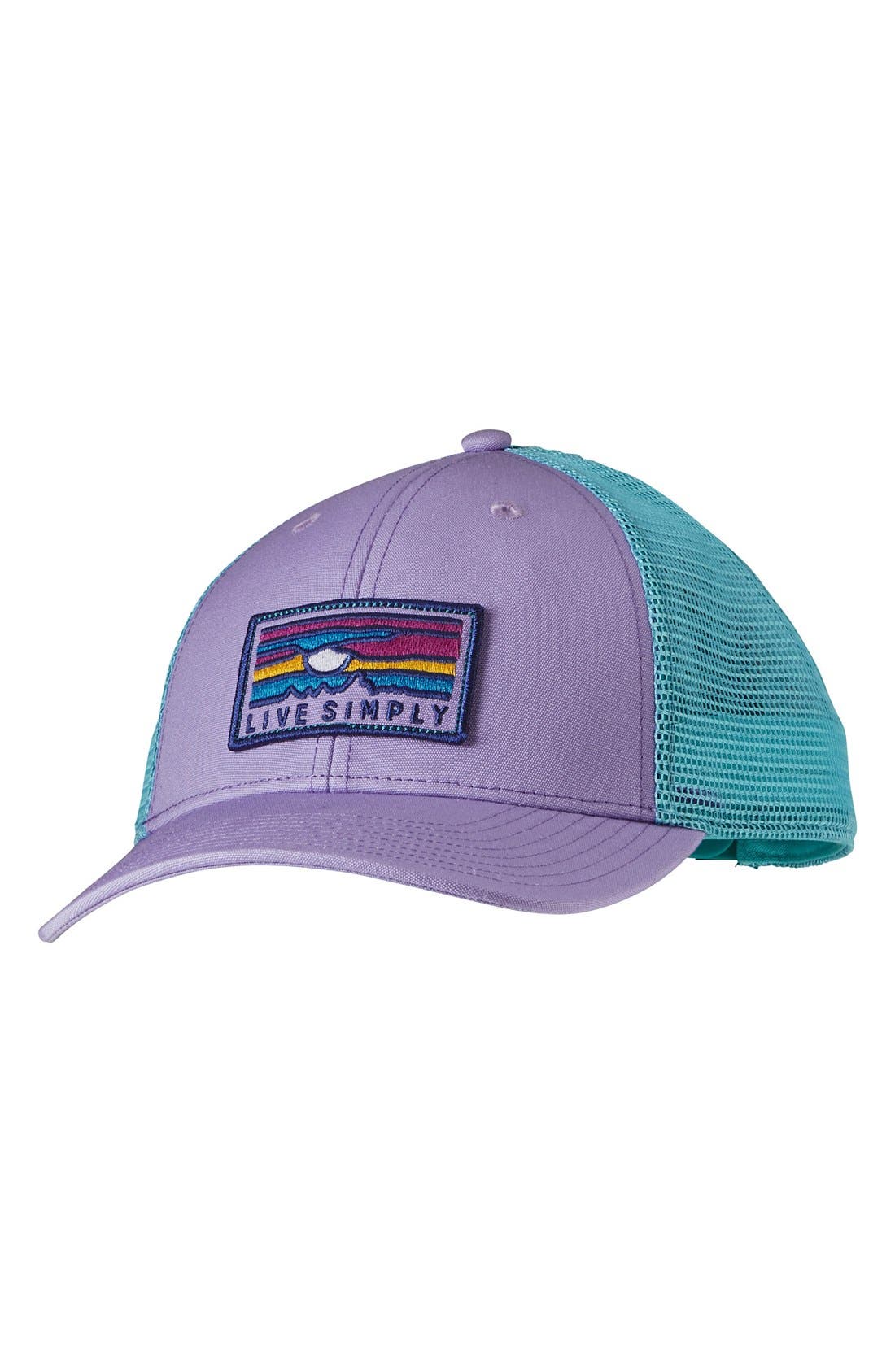 patagonia low profile hat