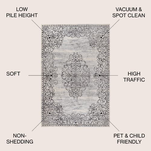 Jonathan Y Minori Filigree Medallion Area Rug In Dark Gray/cream