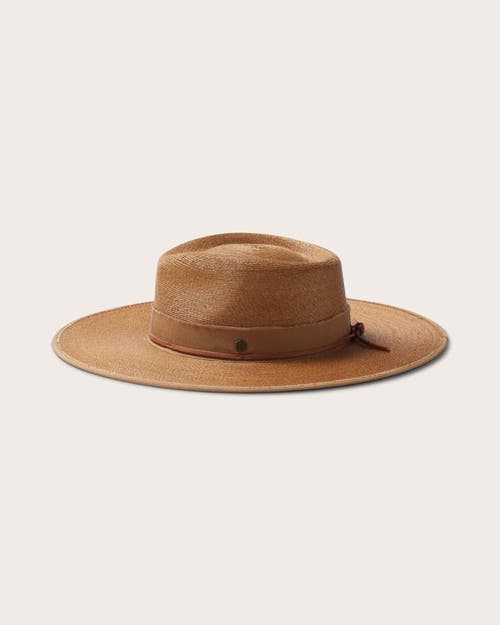 Shop Hemlock Cruz Fedora In Saddle