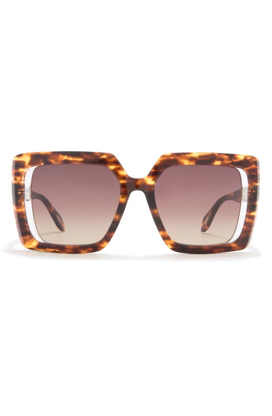 Just Cavalli 53mm Square Sunglasses In Brown