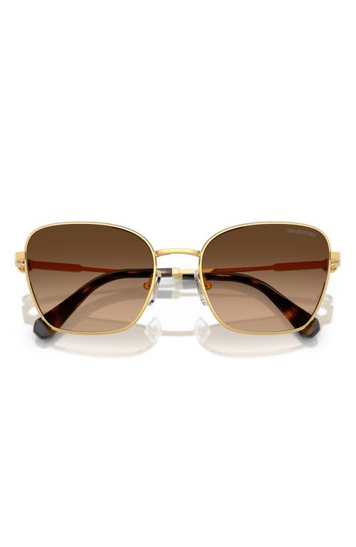 Swarovski 55mm Gradient Pilot Sunglasses In Gold/brown