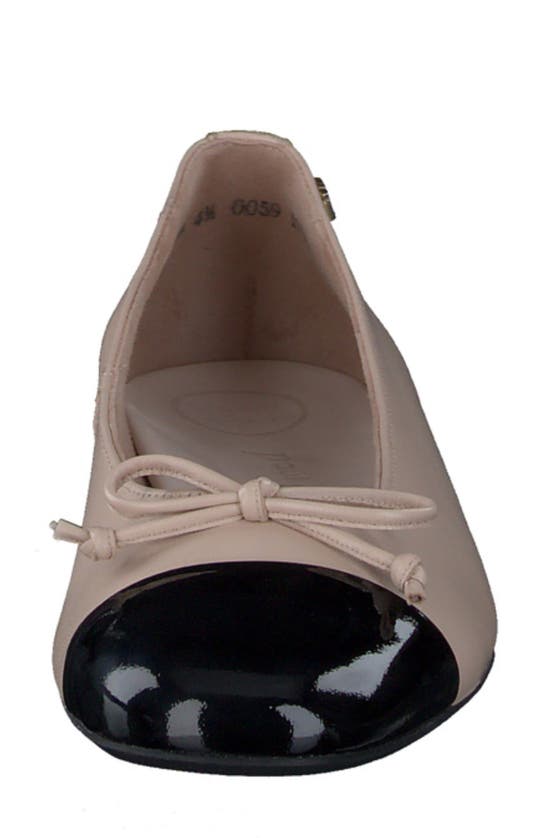 Shop Paul Green Violet Ballet Flat In Black Biscuit Combo