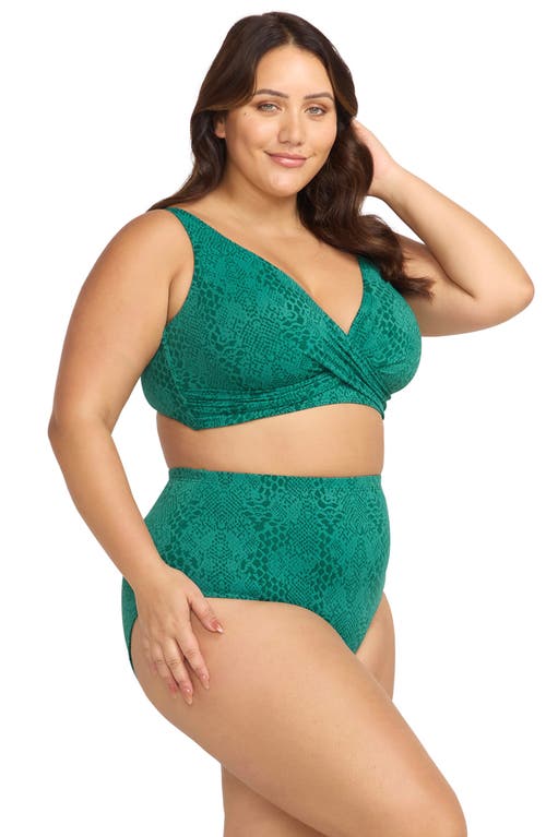 Shop Artesands Ekhis Delacroix Bikini Top In Green