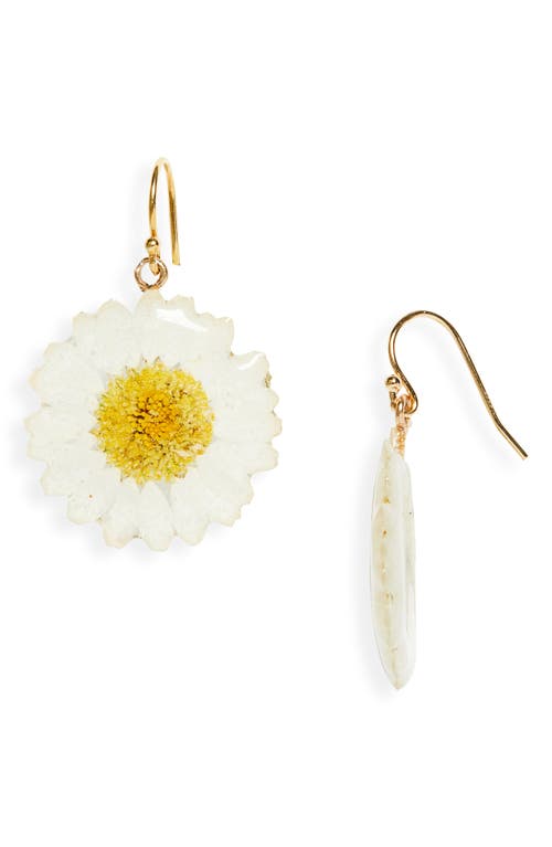 Dauphinette Mini Pressed Daisy Earrings in Natural