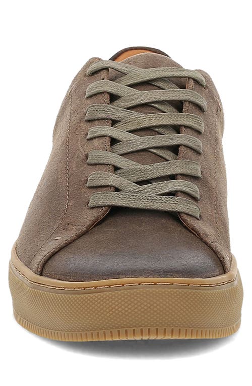 Frye Astor Sneaker In Sage Brush